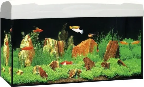 Aquarium Marina Complete 54 inkl. LED-Beleuchtung 10 W, Filter, Heizer, weiß