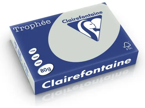 Drucker- & Kopierpapier Grau von Clairefontaine