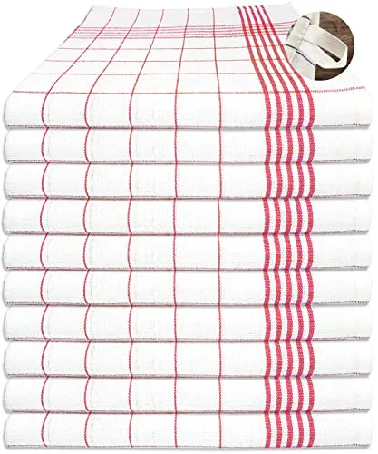 MTEXT Geschirrtücher Küchenhandtuch aus 100% Baumwolle 10 Stück Pack, 50x70 cm, 60g, rot weiß karriert (Rot)