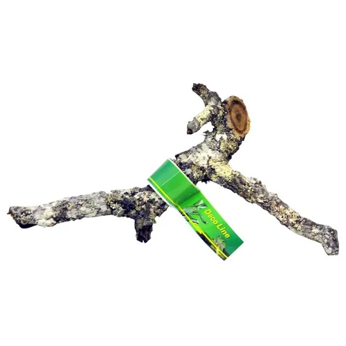 Lucky Reptile Zierkorkast ca. 30-40cm Korkast Tronchos Ast Reptilien Terrarium