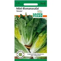 SAMEN PFANN Mini-Romanasalat Xanadu