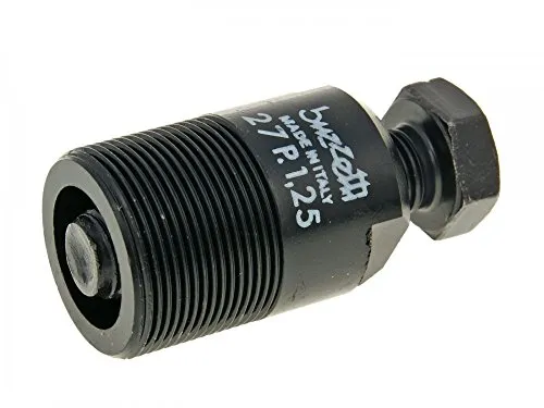 Anker, Rotoren und Statoren von Buzzetti