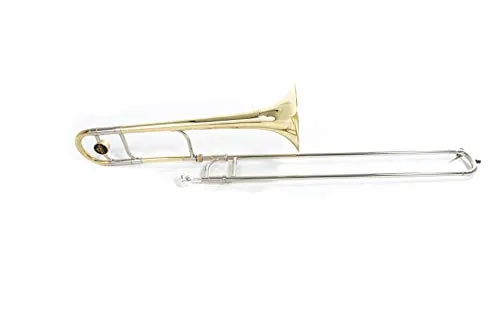 Roy Benson Bb Tenorposaune MOD.TT-236 lackiert mit Koffer von Roy Benson