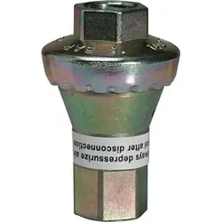 Riegler Inline-Druckregler G 1/4, 7 bar - Druckregler für Druckluftsysteme, manipulationssicher mit voreingestelltem Druck, schützt Werkzeuge vor Druckschwankungen und sorgt für hohe Energieeffizienz.
