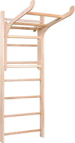 Sport-Thieme Sprossenwand 