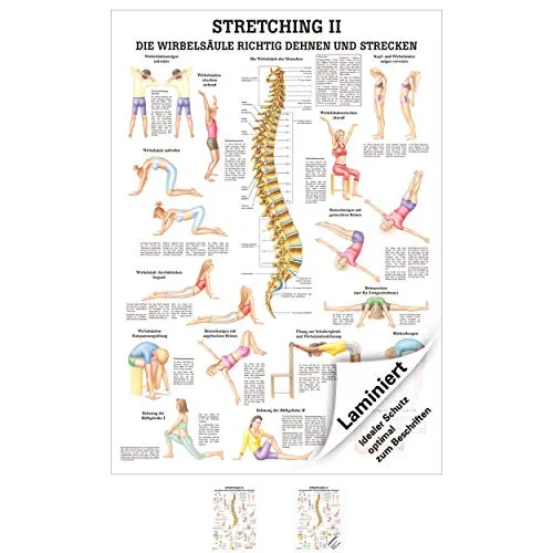 Ruediger Anatomie MIPO69LAM Streching II Tafel, 24 cm x 34 cm, laminiert