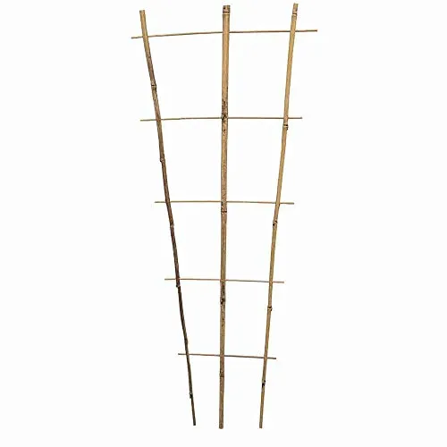 Siena Garden Bambus Rankgitter 110 cm