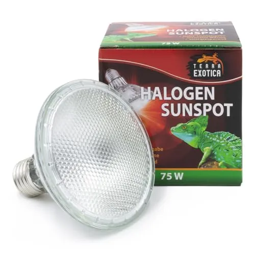 Terra Exotica Halogen Sunspot - Halogen Sun Spot für Ihr Terrarium - Spotstrahler/Wärmestrahler für Reptilien (75 Watt)