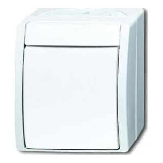 Busch-Jaeger 2601 2 W-54 Wippschalter - 2-polig ocean, IP 44, ideal für den Innen- und Außenbereich in alpinweiß
