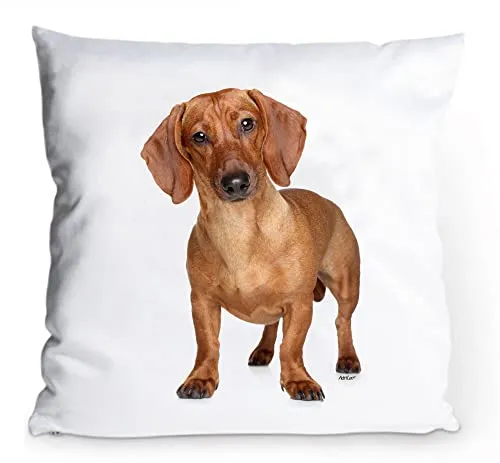 AdriLeo Kissenbezug 40x40cm Dackel (Kurzhaarteckel rot)