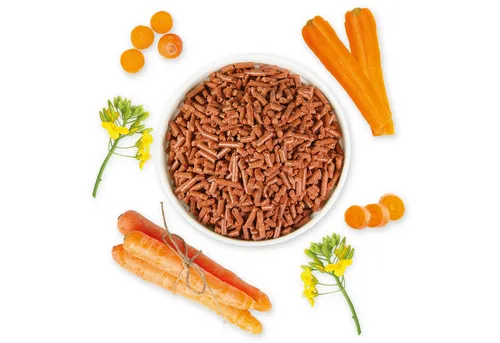 Schecker Trocken-Karotten-Granulat – die natürliche Vitaminquelle für Hunde, Ergänzungsfutter für: Hunde, ohne Zusatzstoffe