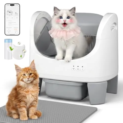 Selbstreinigendes Katzenklo mit APP-Steuerung und Einklemmschutz für Katzen bis 10 kg