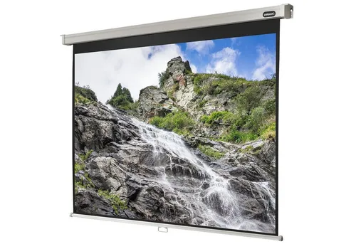 celexon Professional Rollo-Leinwand 85