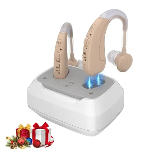 Delmicure Wireless Soundgerät mit intelligenter Geräuschunterdrückung, 4 Modi und einstellbarer Lautstärke, Packung mit 2 Einheiten (Dual)