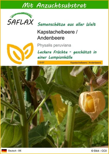 SAFLAX Blumensamen SAFLAX - Samen und Substrat - Kapstachelbeere / Andenbeere