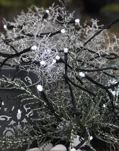 Best Season LED-Lichterkette, 40tlg. Farbe cool white, outdoor, m.Trafo, Kabel:schwarz, 498-18