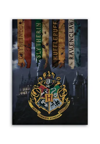 Harry Potter Fleecedecke  Kuscheldecke Autodecke 100 cm x 140 cm