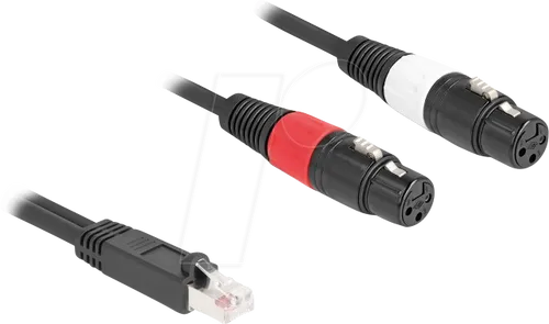 DELOCK 88176 - XLR Audio Extender & Adapter, Cat. 5, 2 m - A/V-Repeater und Konverter zur Übertragung von Audiosignalen über Cat.5, ideal für professionelle Audiogeräte und bis zu 75 m Reichweite.
