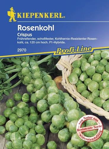 Kiepenkerl Rosenkohl Crispus Brassica oleracea, Inhalt: ca. 10 Pflanzen