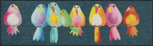 Salonloewe Fußmatte Rainbow Birds 030x100 - Stilvoller Schuhparkplatz - Teppiche Gegend - Waschbare, strapazierfähige Fußmatte aus 100% Polyamid, rutschfest und ideal für Allergiker; perfekt für Innen- und Außenbereiche.