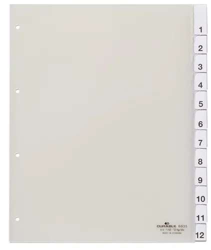 DURABLE Kunststoff Register A4 12-teilig transparent aus Hartfolie