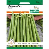 SAMEN PFANN Stangenbohne Matilda
