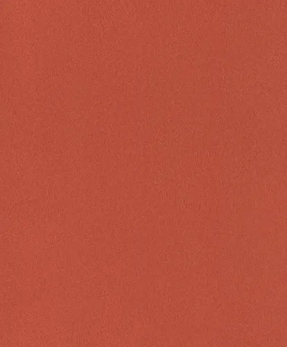 Rasch Vliestapete Club Fell Uni 418682