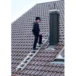 MUNK Aluminium Dachleiter 15 Sprossen von Günzburger