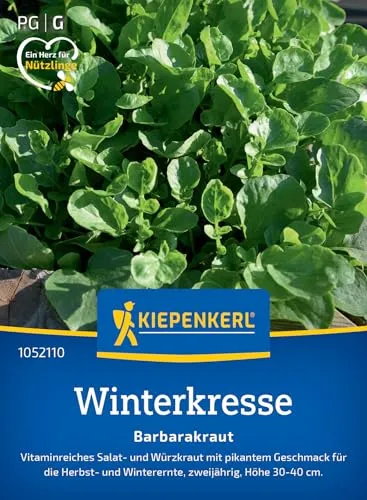 Kiepenkerl Winterkressesamen Barbarakraut 1052110 - Kräutersamen für ein Vitaminreiches Salat- und Würzkraut mit einer Wuchshöhe von 30 bis 40 cm - Saatgut