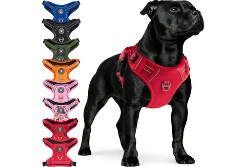 Reichstadt Hunde-Geschirr RS Pets Norwegergeschirr 25RSP083, Polyester, atmungsaktives Netzgewebe und robuster Oxford-Stoff