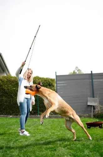 Kerbl Teleskop Reizangel für Hunde 47-130cm - Teleskopische Reizangel für Hunde, ideal zum Spielen und Trainieren. Fördert Konzentration und Schnelligkeit – das perfekte Spielzeug für aktive Hunde.
