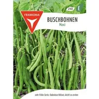 FRANKONIA Buschbohne Maxi