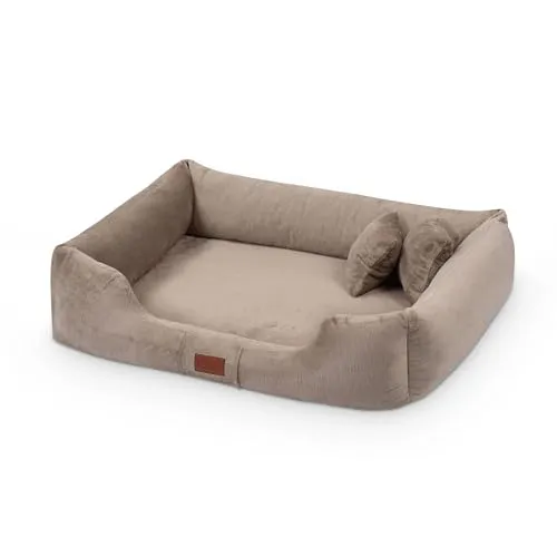 exclusive BED Orthopädisches Hundebett Candy Grosse Mittelgroße Kleine Hunde - Hundekissen Hundematte aus Plüsch - rutschfest Kuschelig Langlebig Abriebfest Reißfest (XXL+|130x100cm, Beige)