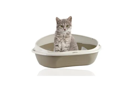 Rohrschneider Katzenecktoilette Eckiges Katzenklo Katzentoilette groß mit hohem Rand, platzsparend