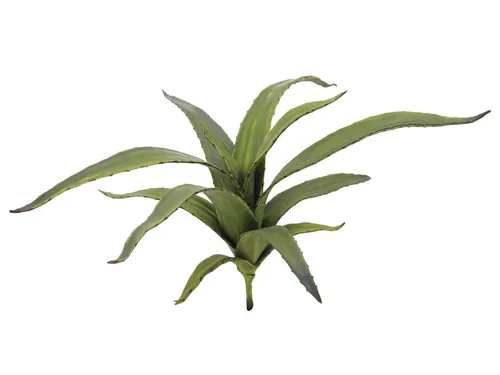 Kunstpflanze Künstliche Aloe Vera 65 cm - Naturgetreue Deko für jeden Raum - Diese 65 cm hohe Kunst-Aloe Vera bringt frisches Grün in Ihre Räume. Ideal für die Gartendeko oder als stilvolle Indoor-Pflanze, ohne Pflegeaufwand.