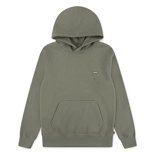 Levi's Kids Hoodie in Khaki von Levi's