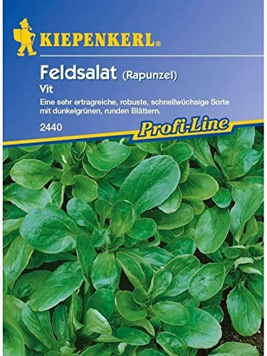 Kiepenkerl Feldsalat Vit