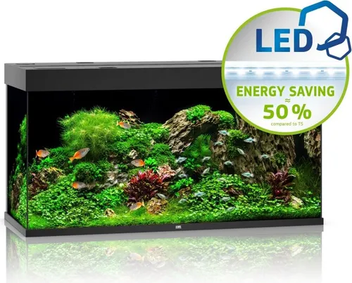 Juwel Aquarium-Set Rio LED 350 l - Schwarz - Aquarien-Komplettset mit 50 cm Tiefe und 66 cm Höhe, ideal für große Fische und Meeresbewohner. Inklusive LED-Beleuchtung, Bioflow Filtersystem und flüsterleiser Pumpe für maximale Qualität und Langlebigkeit.