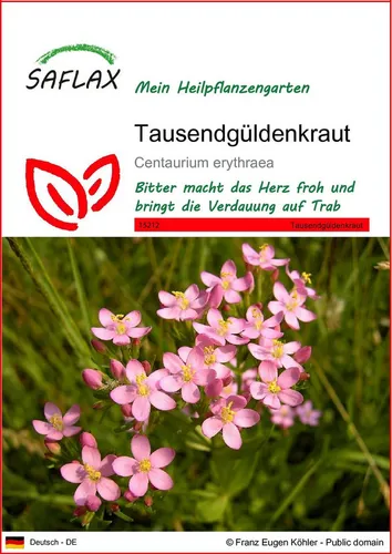 SAFLAX Blumensamen SAFLAX von Saflax