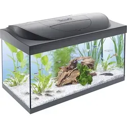 Tetra Aquarium Starter Line LED 54 L weiß