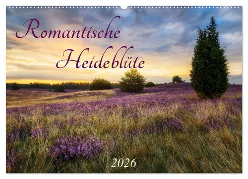 CALVENDO Wandkalender Romantische Heideblüte (Wandkalender 2026 DIN A2 quer), CALVENDO Monat