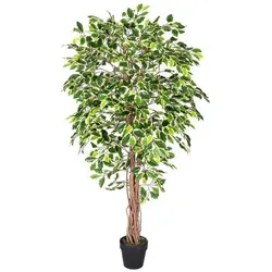 HOMESCAPES Künstlicher Ficus benjamini – 180 cm große Kunstpflanze im Topf - Künstliche Pflanzen: Realistischer Ficus benjamini mit echtem Holzstamm und lebensechten Blättern – pflegeleicht und ideal für jedes Zuhause oder Büro.