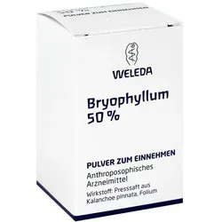 Produktbild Bryophyllum 50% Pulver zum Einnehmen
