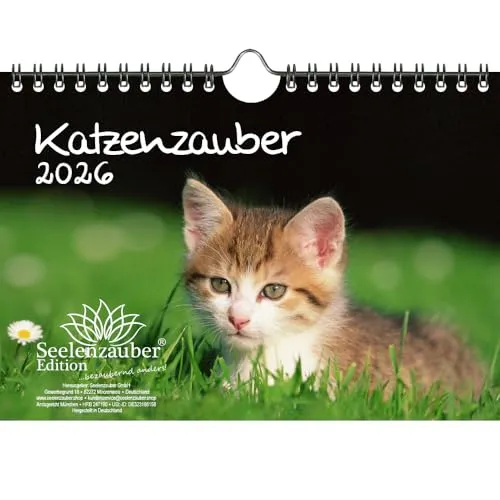 Katzenzauber DIN A5 Kalender für 2026 Katzen und Katzenbabys - Seelenzauber