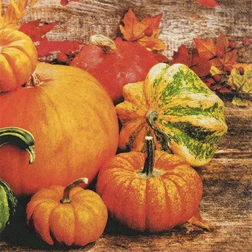 Servietten Pumpkins Kürbis Herbst Dekoration Halloween Erntedankfest 33x33cm 20
