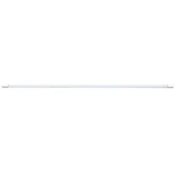 LED's light LED-Röhre