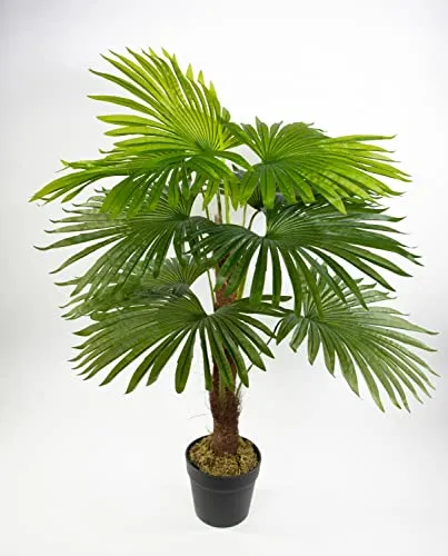 Kunstpalme Fächerpalme Real Touch 90cm von Seidenblumen Roß