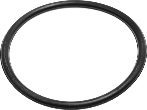 Beko 1766470100 Dichtung Ø76mm für Salzbehälter im Geschirrspüler