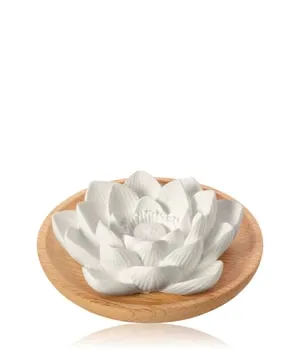 Primavera Aroma Duftstein Lotusblüte Raumduft 1 Stk