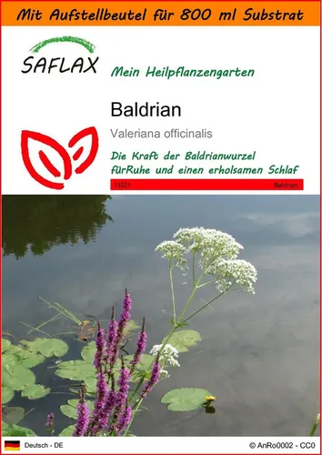 SAFLAX Blumensamen SAFLAX - Garden in the bag - Baldrian